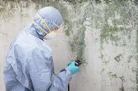 Best Industrial Mold Remediation  in , IN